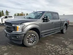 1FTFW1E41KKC87687 2019 FORD F-150