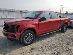 1FTFW1E41LFB76695 2020 FORD F-150