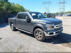 1FTFW1E42KFB01390 2019 FORD F-150