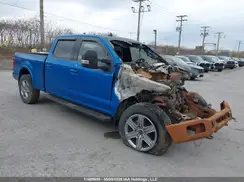1FTFW1E42KFC90526 2019 FORD F-150