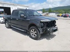 1FTFW1E42KKC80473 2019 FORD F-150