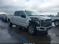 1FTFW1E42KKE16021 2019 FORD F-150