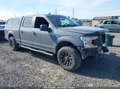 1FTFW1E42LKE62613 2020 FORD F-150