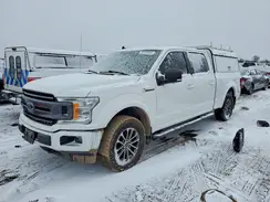 1FTFW1E43KFC04446 2019 FORD F-150