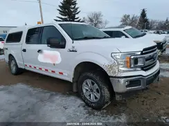 1FTFW1E43KKE25469 2019 FORD F-150