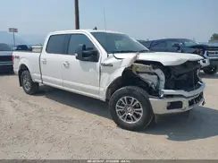 1FTFW1E43KKE39484 2019 FORD F-150