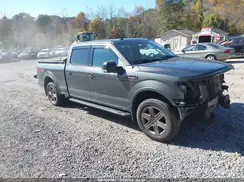 1FTFW1E43LFC00740 2020 FORD F-150
