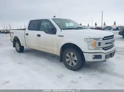 1FTFW1E43LKE49269 2020 FORD F-150