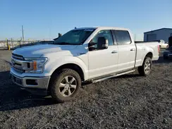 1FTFW1E44LFC69548 2020 FORD F-150