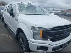 1FTFW1E45KFB29670 2019 FORD F-150
