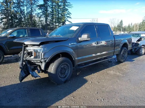 1FTFW1E45KKC04407 2019 FORD F-150 - Image 2