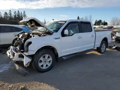 1FTFW1E45KKE26171 2019 FORD F-150