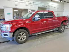 1FTFW1E46KKC51915 2019 FORD F-150