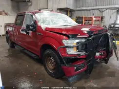 1FTFW1E46KKE53928 2019 FORD F-150
