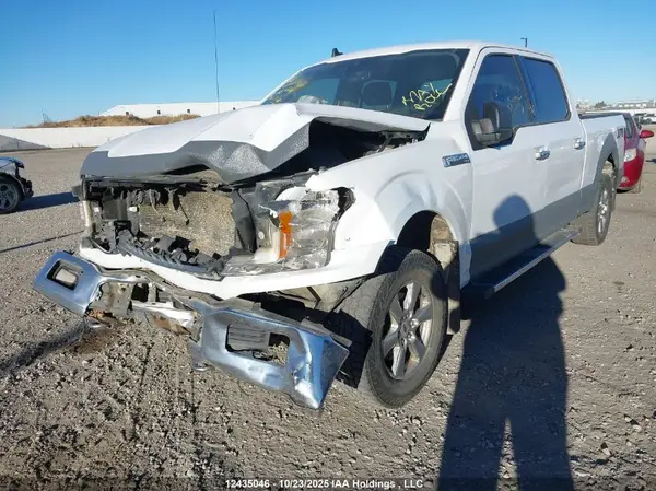 1FTFW1E46KKE54299 2019 FORD F-150 - Image 2