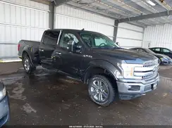 1FTFW1E46LKD76219 2020 FORD F-150