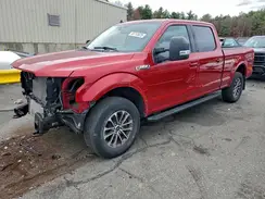 1FTFW1E46LKE74568 2020 FORD F-150
