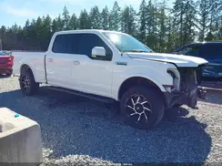 1FTFW1E46LKE97297 2020 FORD F-150