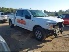 1FTFW1E47KFB84816 2019 FORD F-150