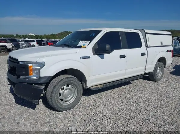 1FTFW1E47KKE69894 2019 FORD F-150 - Image 2