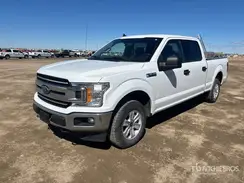 1FTFW1E48KFB51646 2019 FORD F-150