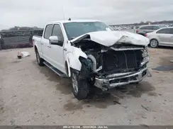 1FTFW1E48KKE13883 2019 FORD F-150