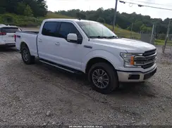1FTFW1E48KKE28769 2019 FORD F-150