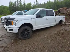1FTFW1E48KKE54014 2019 FORD F-150