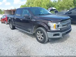 1FTFW1E49KKD76715 2019 FORD F-150