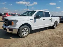 1FTFW1E49KKE67127 2019 FORD F-150
