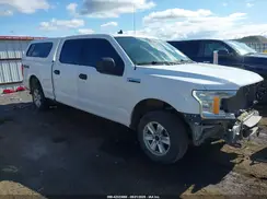 1FTFW1E4XKKD39589 2019 FORD F-150