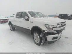 1FTFW1E4XLFC23867 2020 FORD F-150