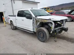 1FTFW1E4XLKD15102 2020 FORD F-150