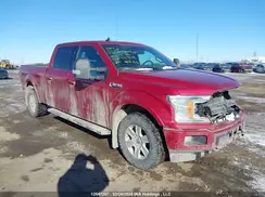 1FTFW1E4XLKE98999 2020 FORD F-150
