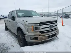 1FTFW1E50KKD66504 2019 FORD F-150