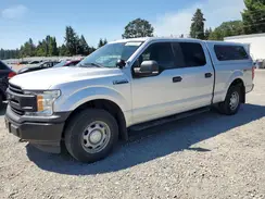 1FTFW1E50KKE52332 2019 FORD F-150
