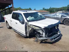 1FTFW1E50KKF06499 2019 FORD F-150