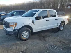 1FTFW1E50MFA36793 2021 FORD F-150