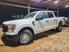 1FTFW1E50MFB02582 2021 FORD F-150