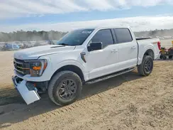 1FTFW1E50PFC31474 2023 FORD F-150