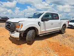 1FTFW1E50PKE27437 2023 FORD F-150
