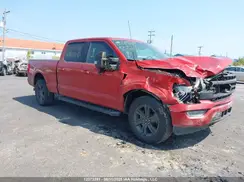1FTFW1E50PKE40723 2023 FORD F-150