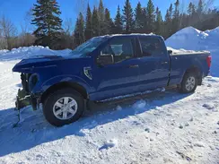 1FTFW1E50PKF17882 2023 FORD F-150