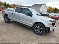 1FTFW1E51KFB07030 2019 FORD F-150