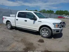 1FTFW1E51KKD98202 2019 FORD F-150