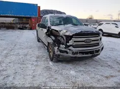 1FTFW1E51KKE26113 2019 FORD F-150