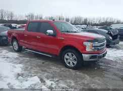 1FTFW1E51LFA52516 2020 FORD F-150