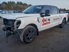 1FTFW1E51MFA96033 2021 FORD F-150