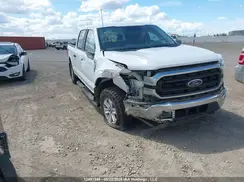 1FTFW1E51MFC10869 2021 FORD F-150