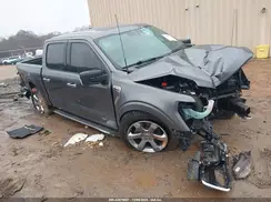 1FTFW1E51MFC76368 2021 FORD F-150
